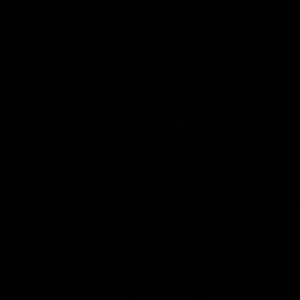 Meet your Posher, Lang